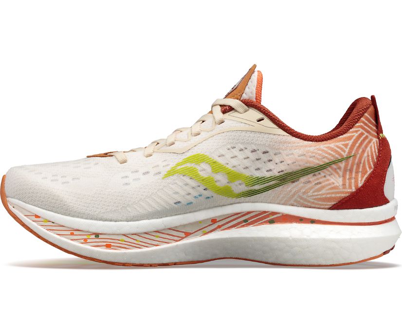 Saucony Endorphin Speed 2 Special Edition Muške Running Patike Smeđe Smeđe | 5TE5FBBO