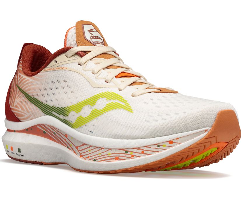 Saucony Endorphin Speed 2 Special Edition Muške Running Patike Smeđe Smeđe | 5TE5FBBO