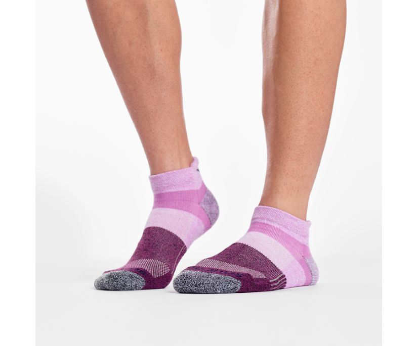 Saucony Inferno No Show Tab 3-Pack Socks Muške Čarape Roze | 9G53Q3NC