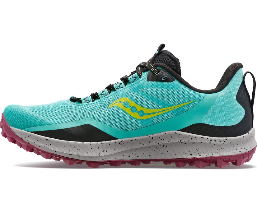 Saucony Peregrine 12 Ženske Trail Patike Menta Ljubičaste | LNR1SWD1