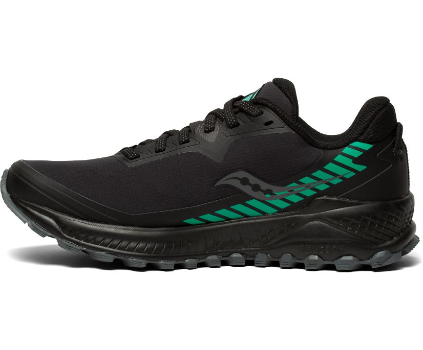 Saucony Peregrine ICE+ Ženske Trail Patike Crne Zelene | A8SLHMBU