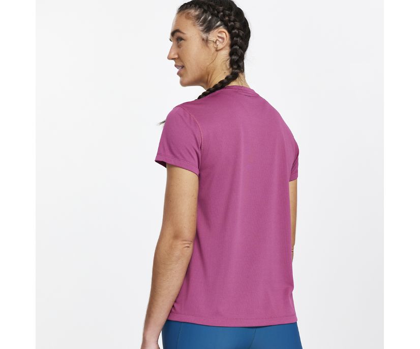 Saucony Stopwatch Short Sleeve Ženske Tops Roze | 2FKV26QA