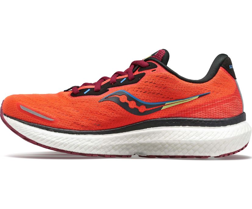 Saucony Triumph 19 Muške Running Patike Crvene Narančaste | 62WDPFYX