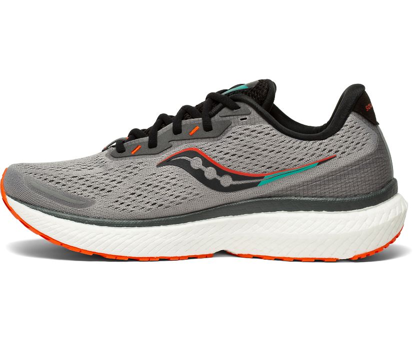 Saucony Triumph 19 Muške Running Patike Sive Crvene | XD65WJ5P