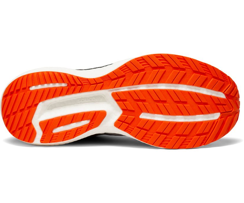 Saucony Triumph 19 Muške Running Patike Sive Crvene | XD65WJ5P