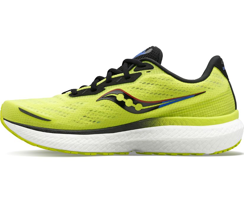 Saucony Triumph 19 Muške Running Patike Žute Plave Crne | D84BVZXT