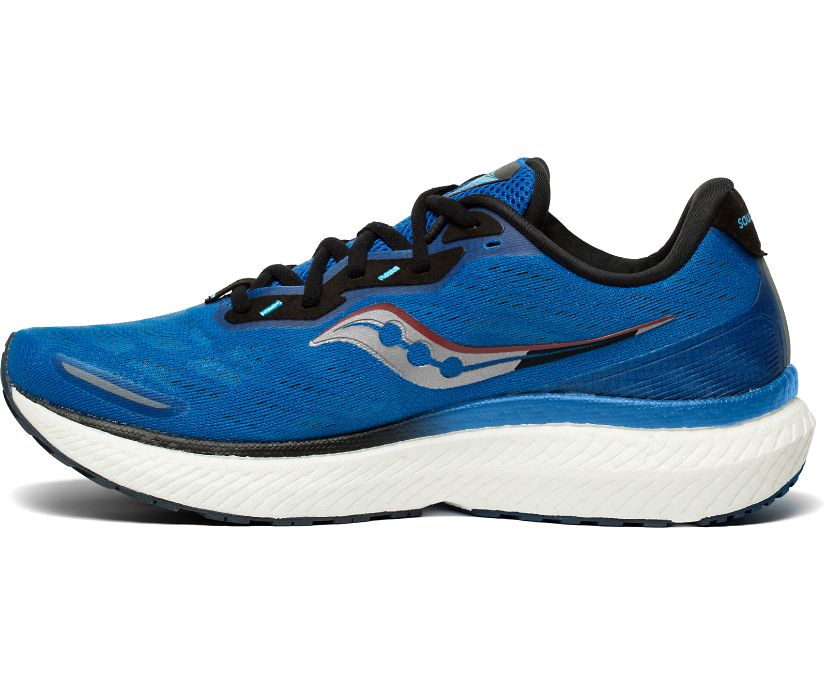 Saucony Triumph 19 Muške Walking Patike Kraljevska Plava Tamno Zelene | HKAG6JWC