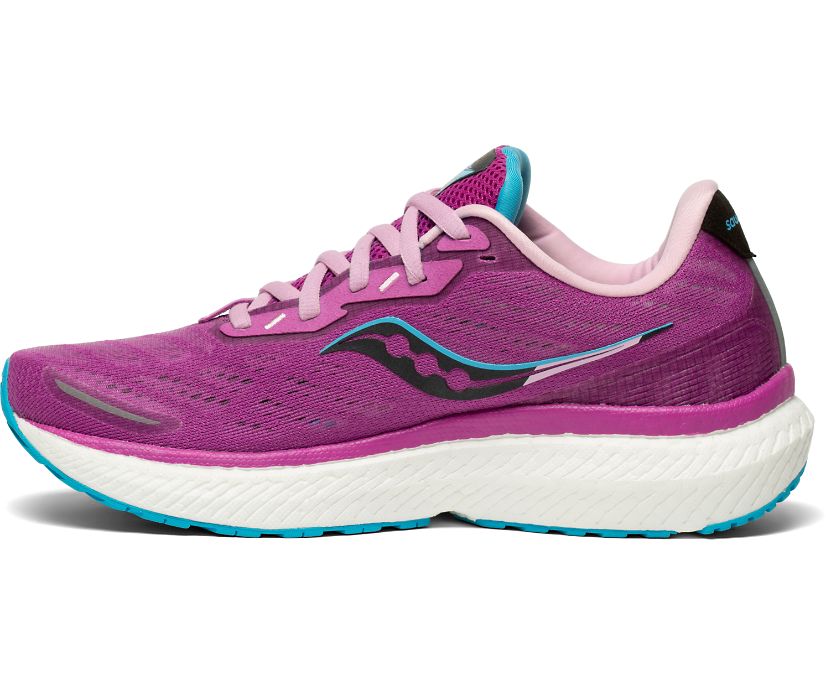 Saucony Triumph 19 Ženske Running Patike Ljubičaste Plave | BVJ9BBRI